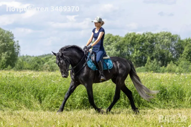 Търся съмишленици,съкооператори,акционери,инвеститори за създаване на промишлена ферма , снимка 9 - Продажба или споделяне на готов бизнес - 49588048