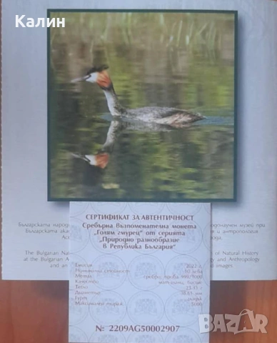 Сребърна възпоминателна монета 10 лв. 2022 г. „Голям гмурец”, снимка 3 - Нумизматика и бонистика - 53609447