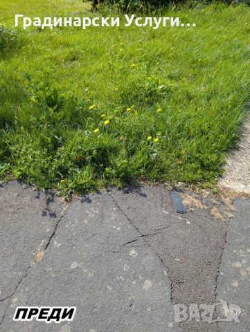 Предлагаме косене, отстраняване и кастрене на дървета, оформяне на храсти и други градинарски услуги, снимка 10 - Други почистващи услуги - 53608621