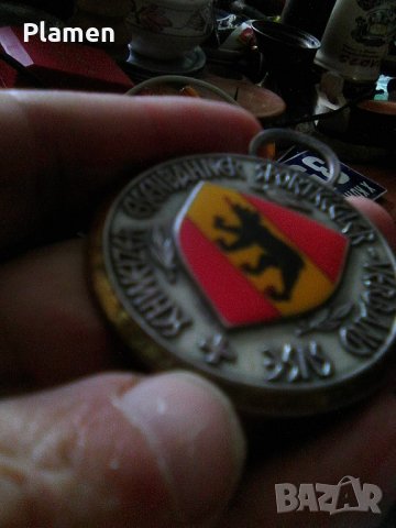 Швейцарски спортен медал, снимка 3 - Други ценни предмети - 38328819