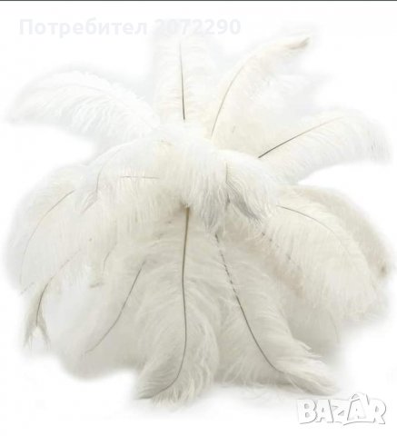 Пера от щраус за декорация , снимка 3 - Обзавеждане за заведение - 33704961