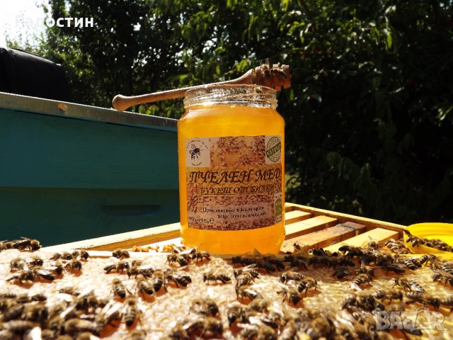 Пчелен мед на едро, директно от производител, реколта 2023 , снимка 4 - Пчелни продукти - 26607421