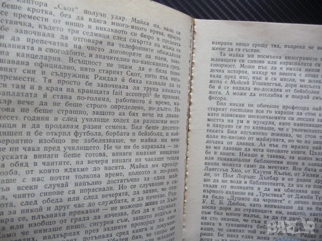 Произшествие в Чейнисвил Дейвид Брадли трилър криминален мистерия загадка корупция, снимка 3 - Художествена литература - 50816406