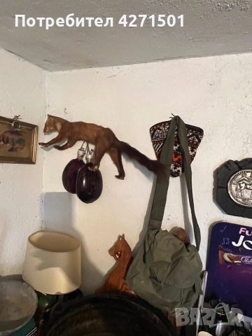 Стари вещи , снимка 7 - Други ценни предмети - 53476648