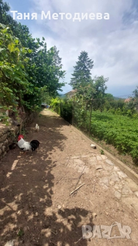 Масивна 2ет. къща 148м², двор 1126м², селскост. постройка 79м² кладенец - с. Слатина 25 км от Карлов, снимка 16 - Къщи - 52525050