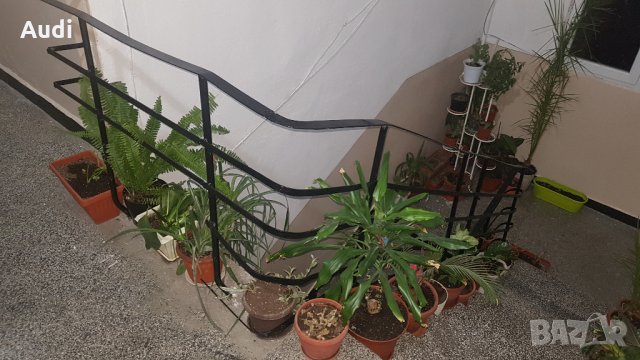 Продава 2-СТАЕН, град Разград, Орел 4 блок / вход В / ет. 8, снимка 14 - Апартаменти - 17872683