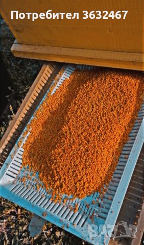 Пчелен прашец реколта 2023г. 25лв.кг в Пчелни продукти в гр. Опака -  ID39554652 — Bazar.bg