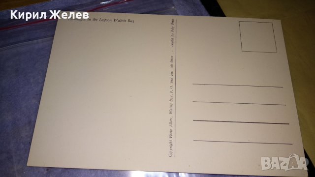 ЛОТ 4 СТАРИ ПОЩЕНСКИ КАРТИЧКИ ГДР ДРЕЗДЕН ЛАЙПЦИГ и РОЗОВО ГЛАМИНГО ПРИРОДА ЛАГУНА 6541, снимка 6 - Филателия - 38729926