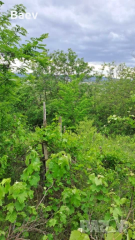 Продавам Парцел в Ментишето Аксаково Собственик, снимка 7 - Парцели - 50480011