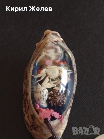 Уникално красив ключодържател морски дарове перфектно състояние забележителен стил 26151, снимка 2 - Други - 43582181