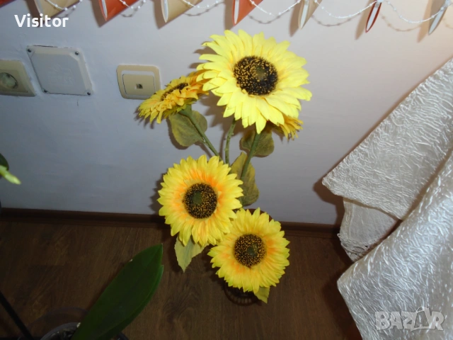 Sony Cyber-shot DSC-W800  20.1 МРх, снимка 12 - Фотоапарати - 53557048