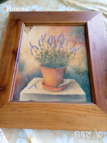 Знаци германски и д-р неща !, снимка 6 - Колекции - 31485230