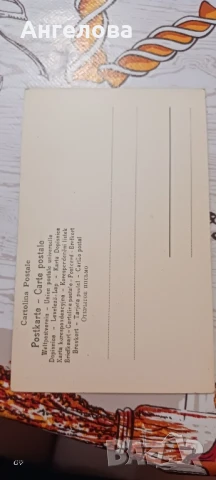 Стари картички пощенски , снимка 18 - Колекции - 50668171