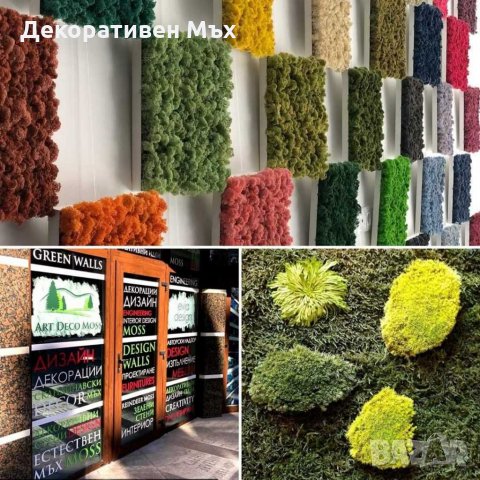 Интериорно озеленяване с естествен скандинавски мъх, снимка 3 - Други услуги - 29013958