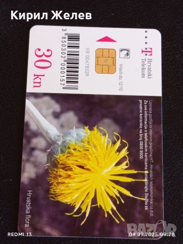 Три фонокарти КУБА, ГЕРМАНИЯ, ХЪРВАТИЯ редки за КОЛЕКЦИЯ ДЕКОРАЦИЯ 37344, снимка 2 - Колекции - 51649089