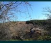 Парцел в село Мътеница, снимка 2
