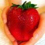 100 гигантски ягодови семена от плод ягода ягоди органични плодови ягодови семена от вкусни ягоди от, снимка 1