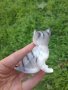 Малко Порцеланово коте котка Фигурка , снимка 2