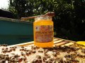 Пчелен мед на едро, директно от производител, реколта 2023 , снимка 4