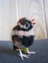  Колекционерска мека играчка Steiff Sparrow врабче, снимка 6