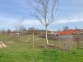 Продавам ПАРЦЕЛ за строеж на къща или градина в с. Енево (общ. Нови пазар), снимка 11