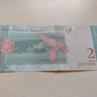 Банкнота Венецуела много красива непрегъвана перфектна за колекция декорация - 23600, снимка 5 - Нумизматика и бонистика - 33322255