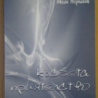 Късчета приятелство  Дени Радева, снимка 1 - Художествена литература - 38842637