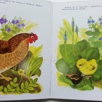 Пиленцето - Корней Чуковски - 1989г., снимка 5 - Детски книжки - 44095238