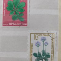 Български пощенски марки с растения, снимка 1 - Филателия - 40755450