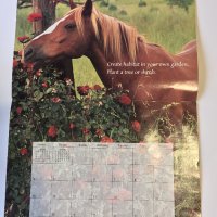 Стенен календар 2006 IFAW Animal Sanctuary Fund, снимка 13 - Други - 38776709