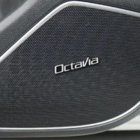 Нови алуминиеви емблеми ”Octavia” - 31 мм. / 8 мм., снимка 2 - Аксесоари и консумативи - 40054291