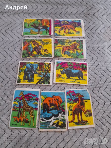 Картинка,картинки от дъвка #7, снимка 1