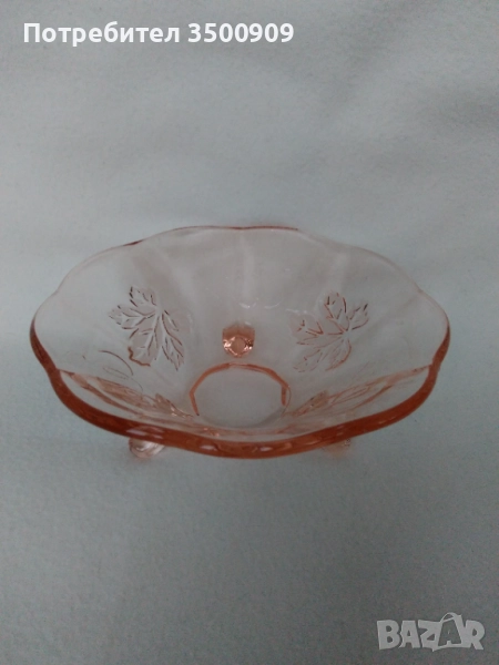 малка фруктиера, снимка 1