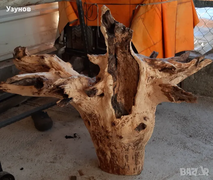 Декорация за градината -Корен от Дъб, снимка 1