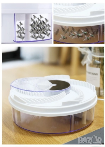 Капан за мухи, снимка 1