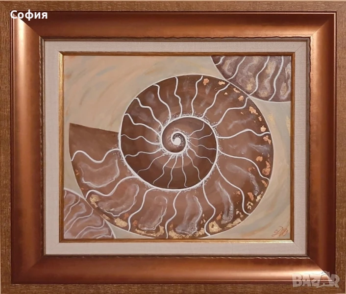 Картина "Амонити", снимка 1