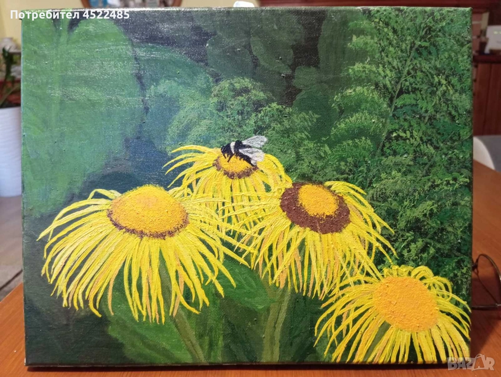 малки слънца в планината, снимка 1