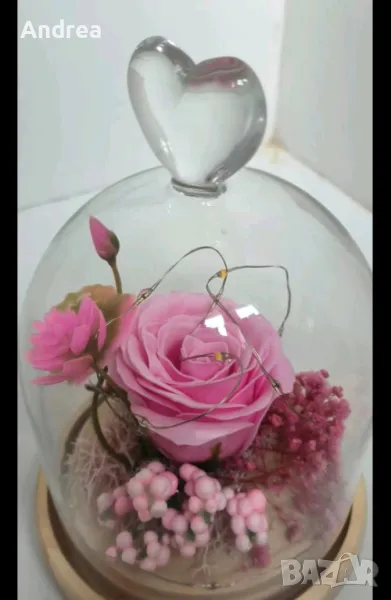 Вечна роза в стъкленица, снимка 1