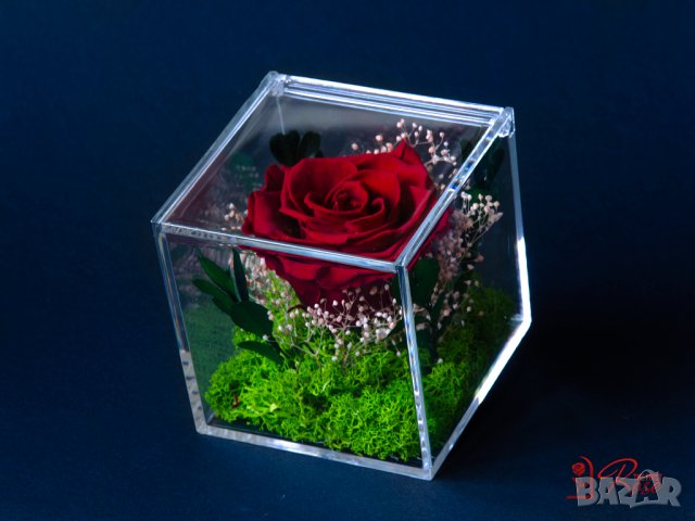 Естествена Вечна Роза в Акрилна Кутия / Уникален Подарък за Рожден Ден / Жива Вечна Роза в Кутия, снимка 5 - Подаръци за жени - 43749115