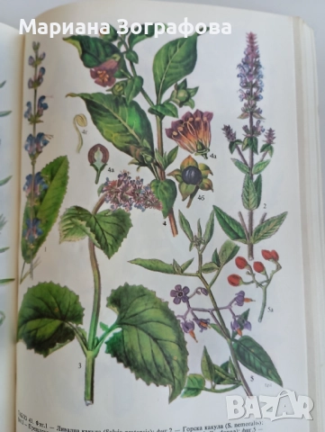 Книги 7 бр, за Билките, Фаворитът1-2, Махабхарата Рамаяна, - Сенека, - Черната капела В. Александров, снимка 6 - Специализирана литература - 51449680