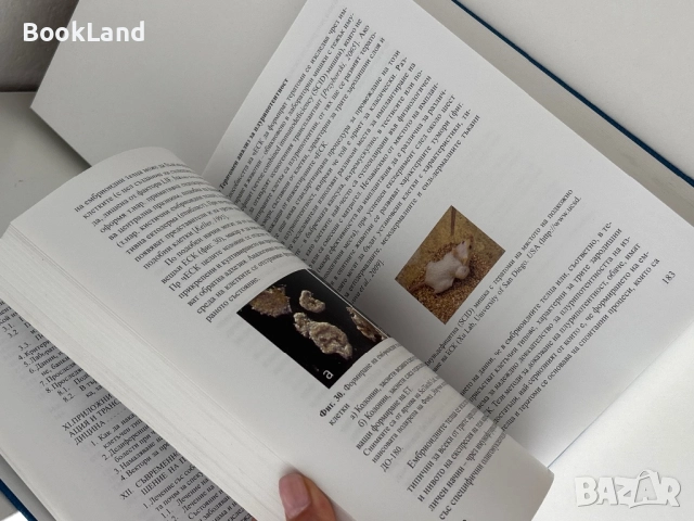 Стволови клетки – Стоян Чакъров, Румена Петкова, Румен Панков, снимка 16 - Специализирана литература - 51722572