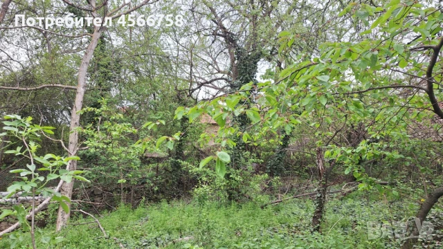 Двуетажна каща с. Буря, снимка 14 - Къщи - 51387876