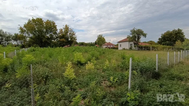 Мулчиране и косене с трактор и храсторез, Област Велико Търново , снимка 16 - Почистване на домове - 48959060