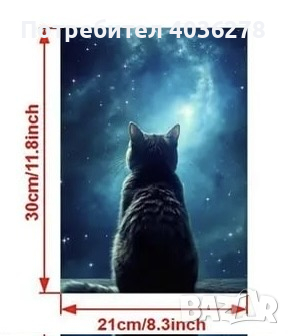 Картина/Постер за стена котка, снимка 2 - Декорация за дома - 44843839