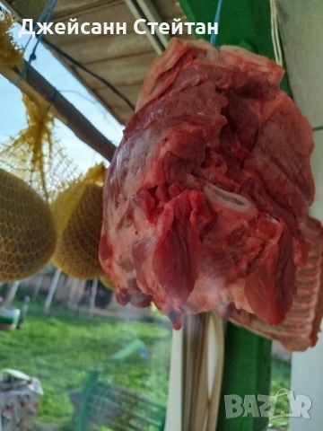 Прясно свинско месо, снимка 9 - Прасета - 52547331