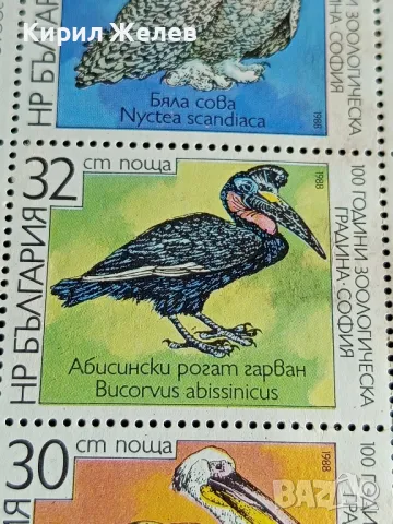 Пощенски марки чисти 100г. ЗООЛОГИЧЕСКА ГРАДИНА СОФИЯ редки за КОЛЕКЦИОНЕРИ 46691, снимка 5 - Филателия - 47756593