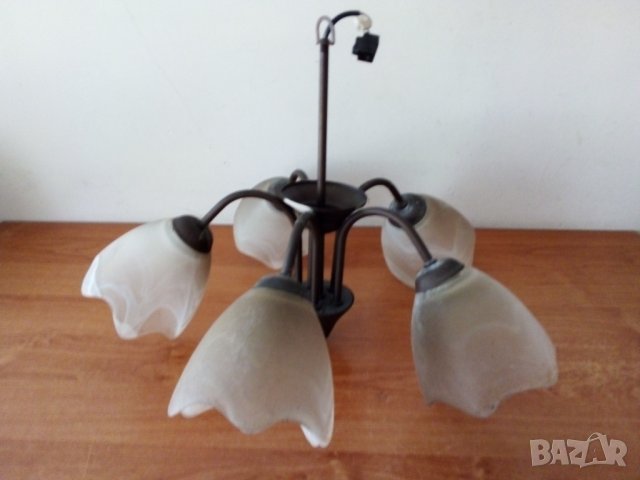 Полилеи, снимка 2 - Полилеи - 43998121