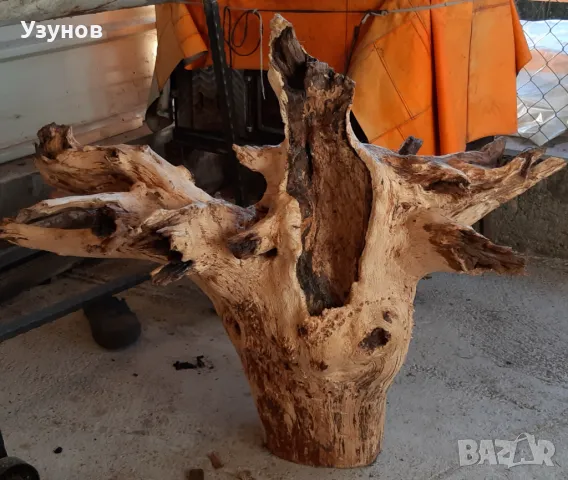 Декорация за градината -Корен от Дъб