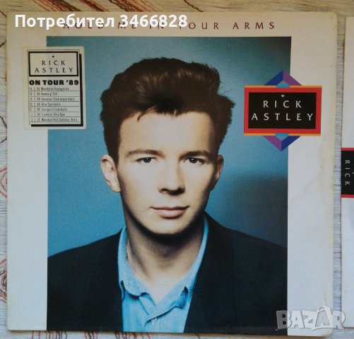 Rick Astley - Hold Me In Your Arms