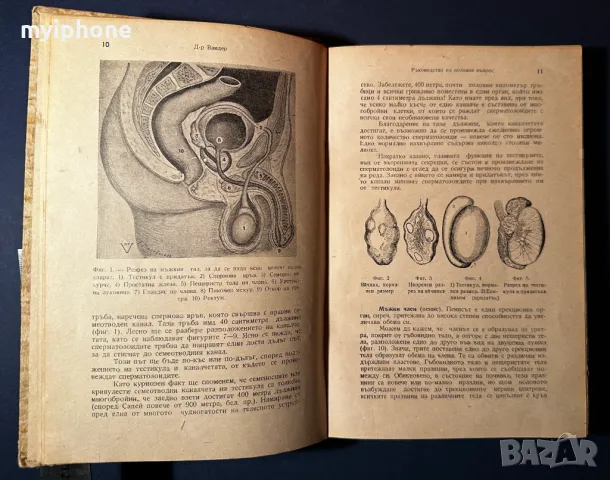 Стара Книга Ръководство по Половия Въпрос Д-р Вандер 1946 г., снимка 4 - Специализирана литература - 49529349